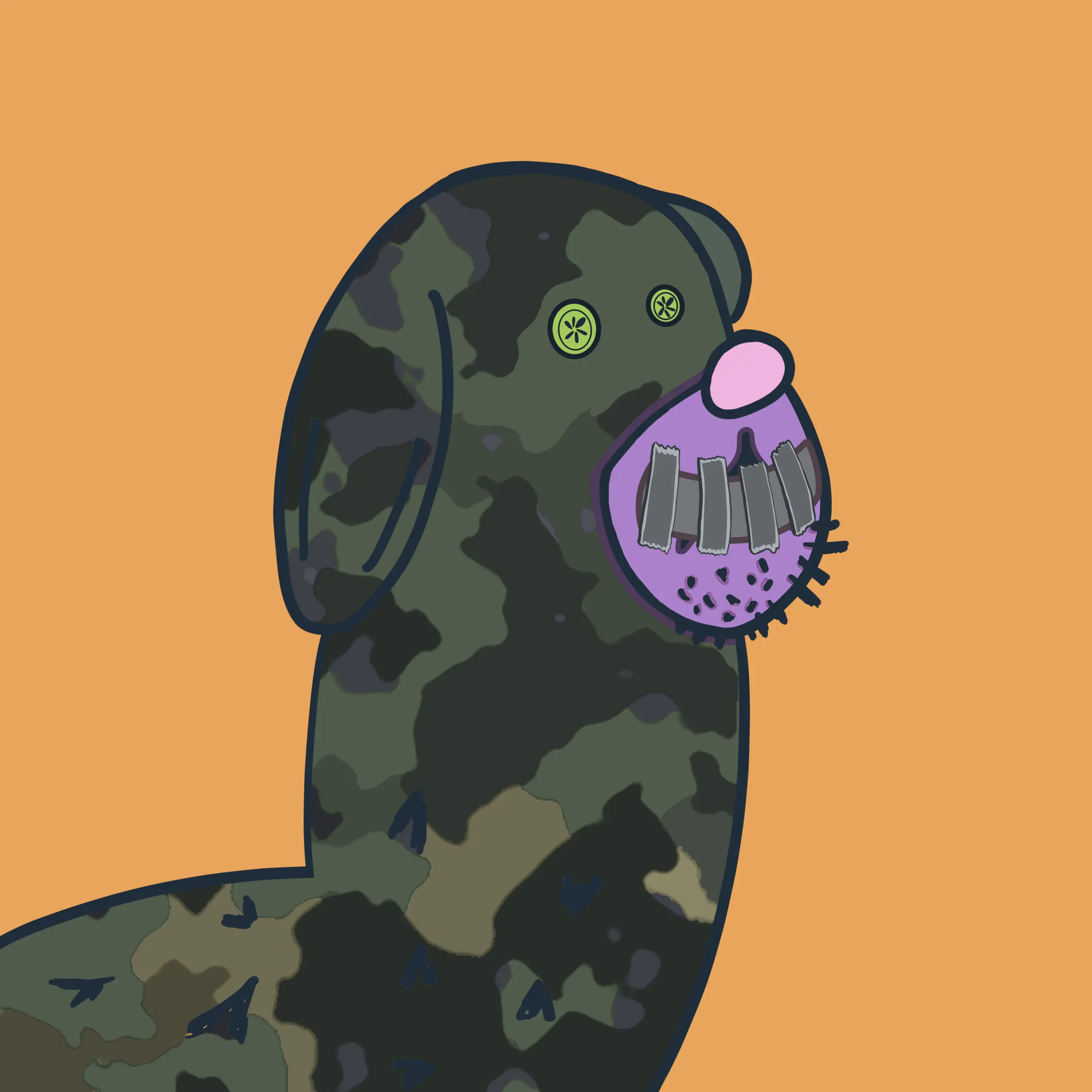 HODLR #343 NFT on Algorand