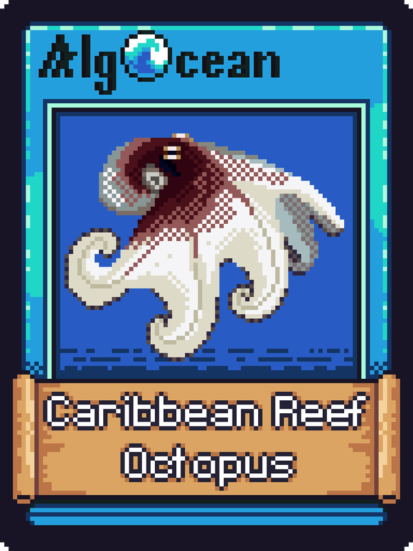 An image of Caribbean Reef Octopus