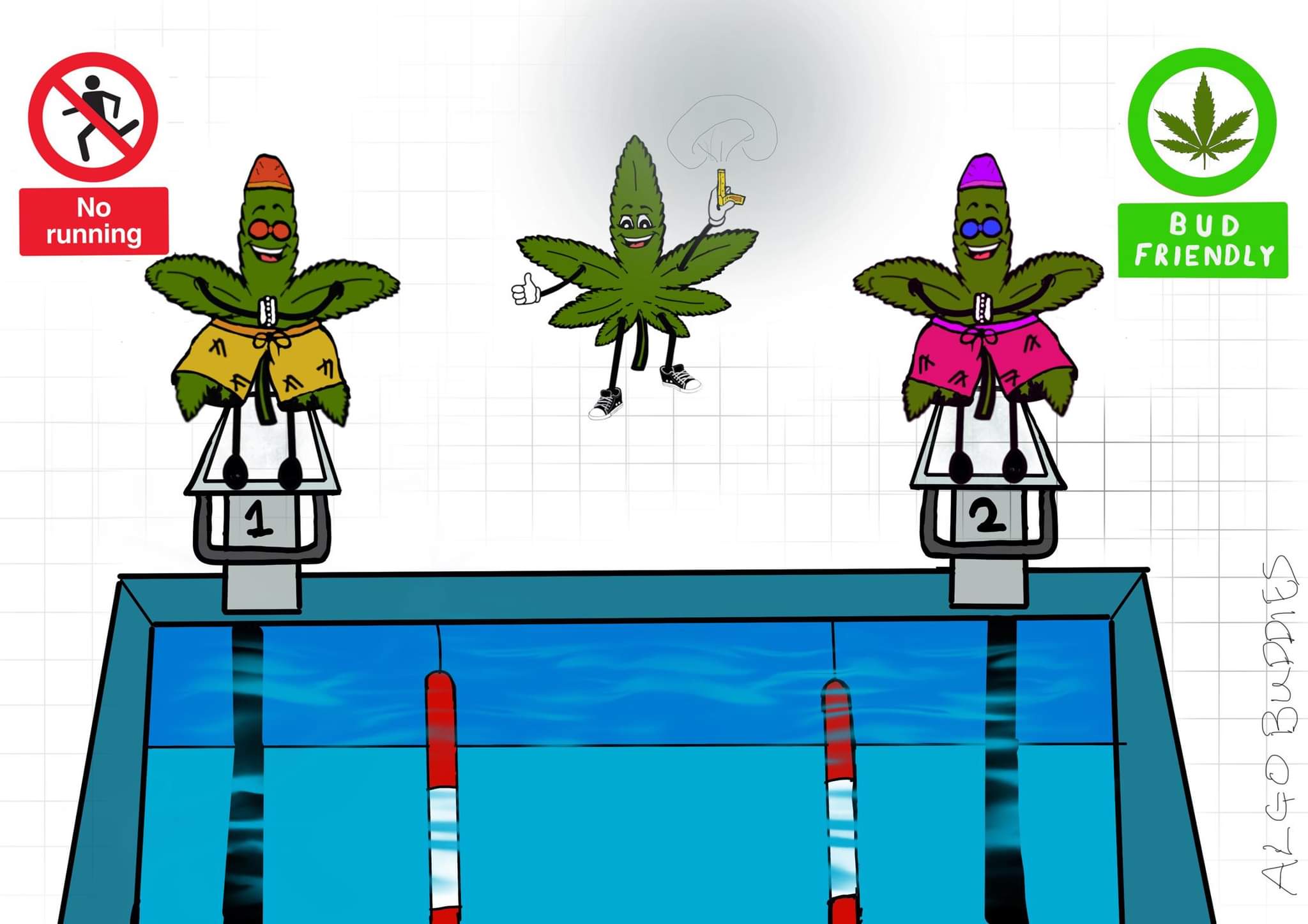 Swimming Buddy NFT on Algorand