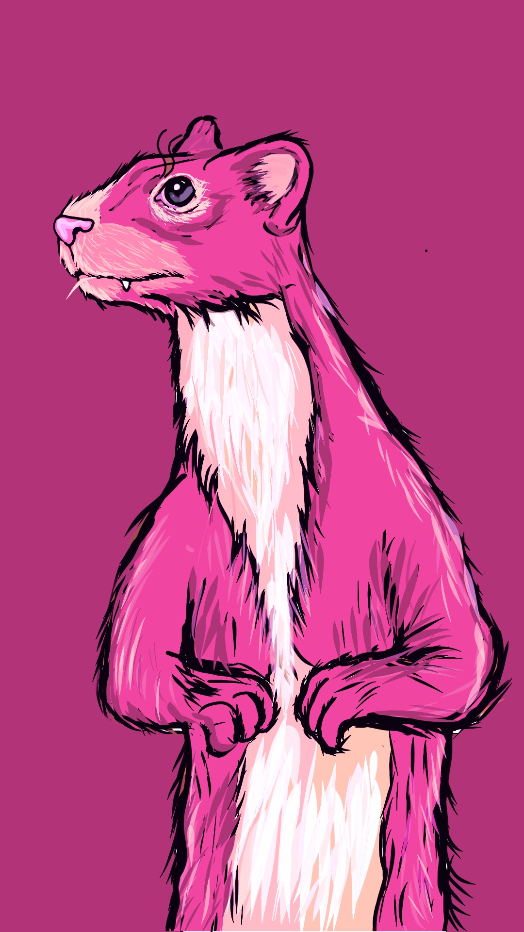 Weasalgo#11 NFT on Algorand