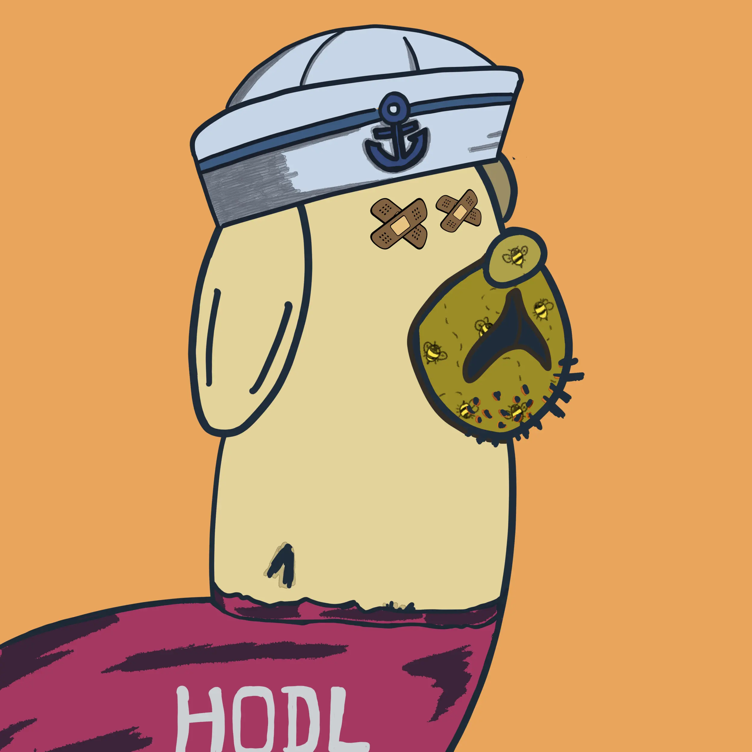 HODLR #1145 NFT on Algorand