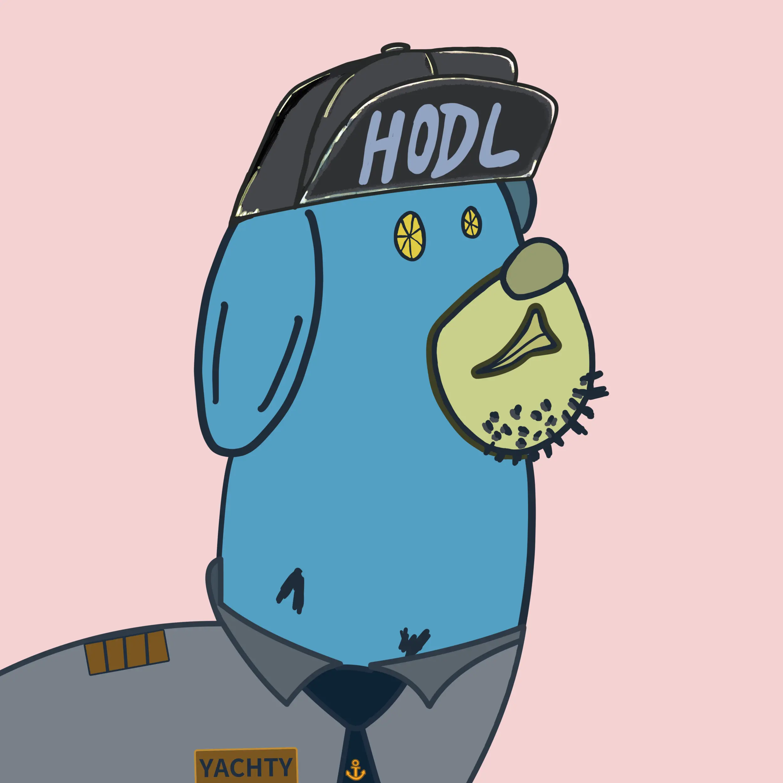 HODLR #1230 NFT on Algorand