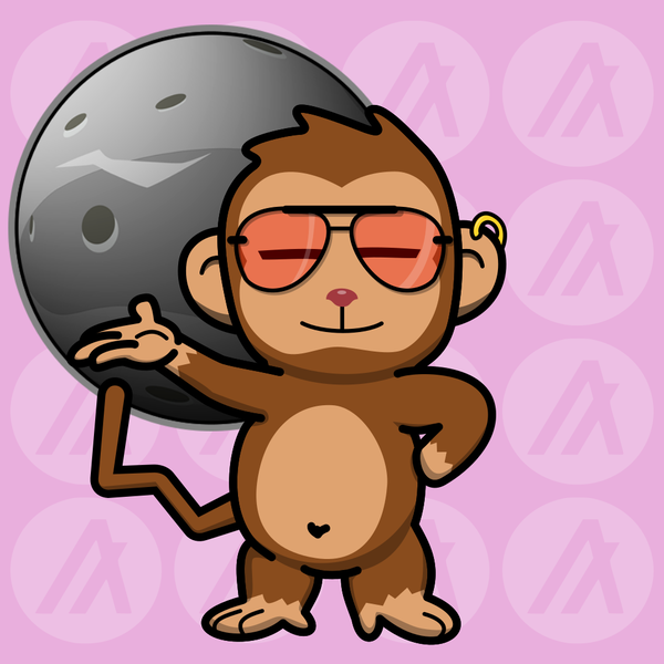 An image of Space Monkey #9