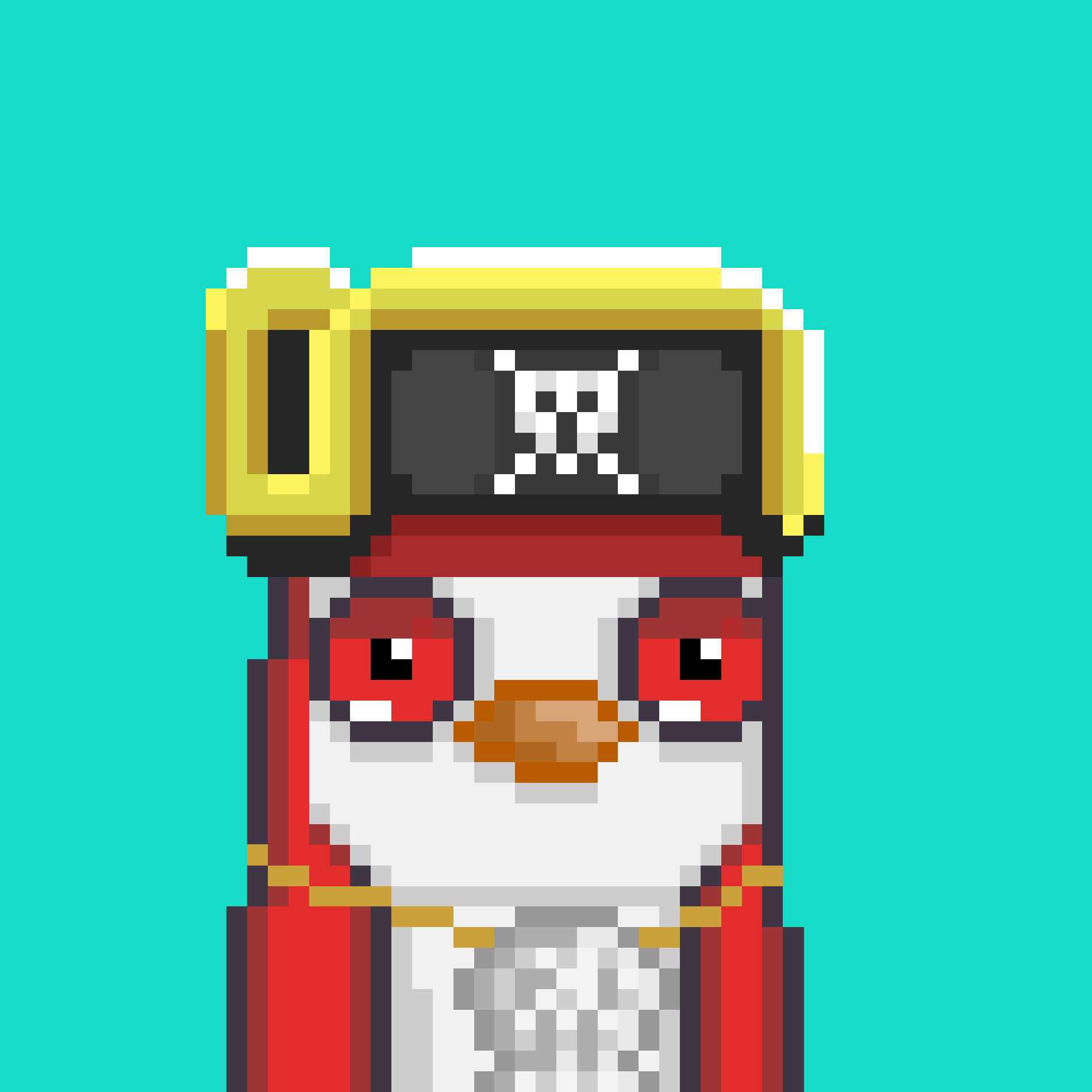 Algo Pengu #362 NFT on Algorand