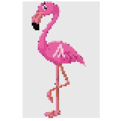 Flamingo X Algo