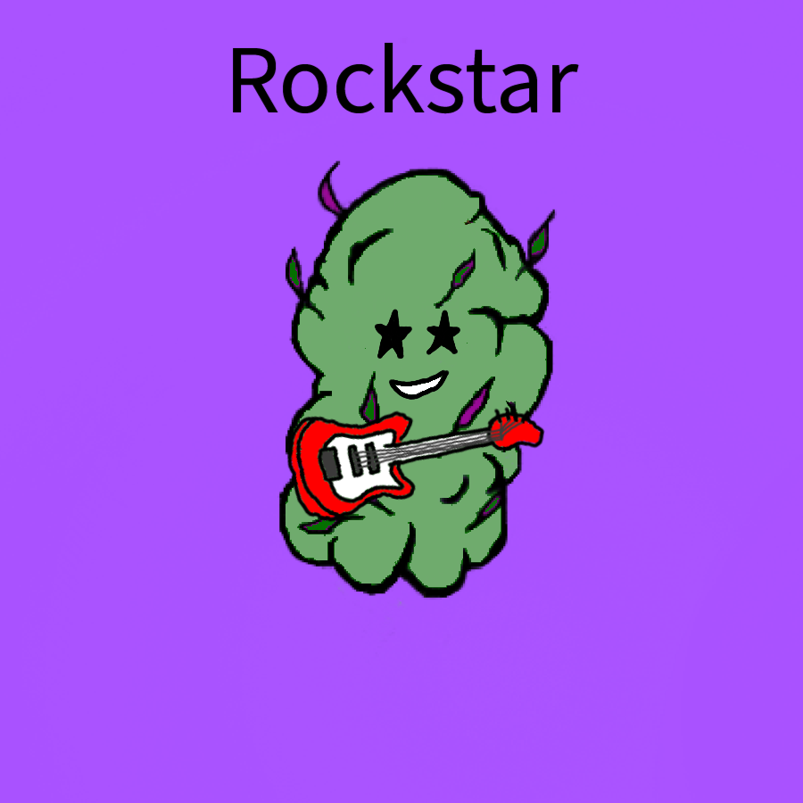 AlgoStonerClub #45 Rockstar NFT on Algorand
