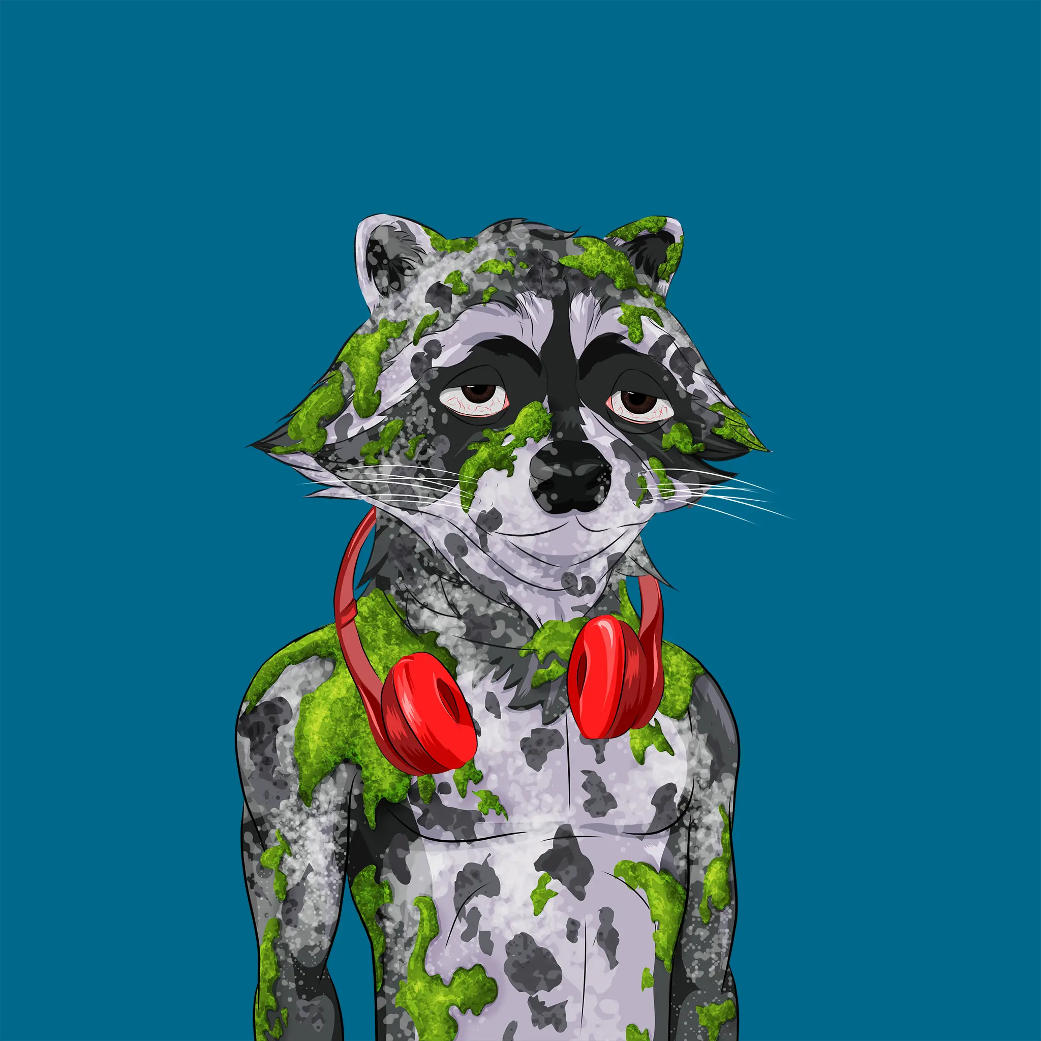 AlgoRaccoon #1404 NFT on Algorand