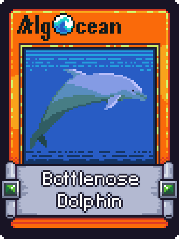 An image of Bottlenose Dolphin