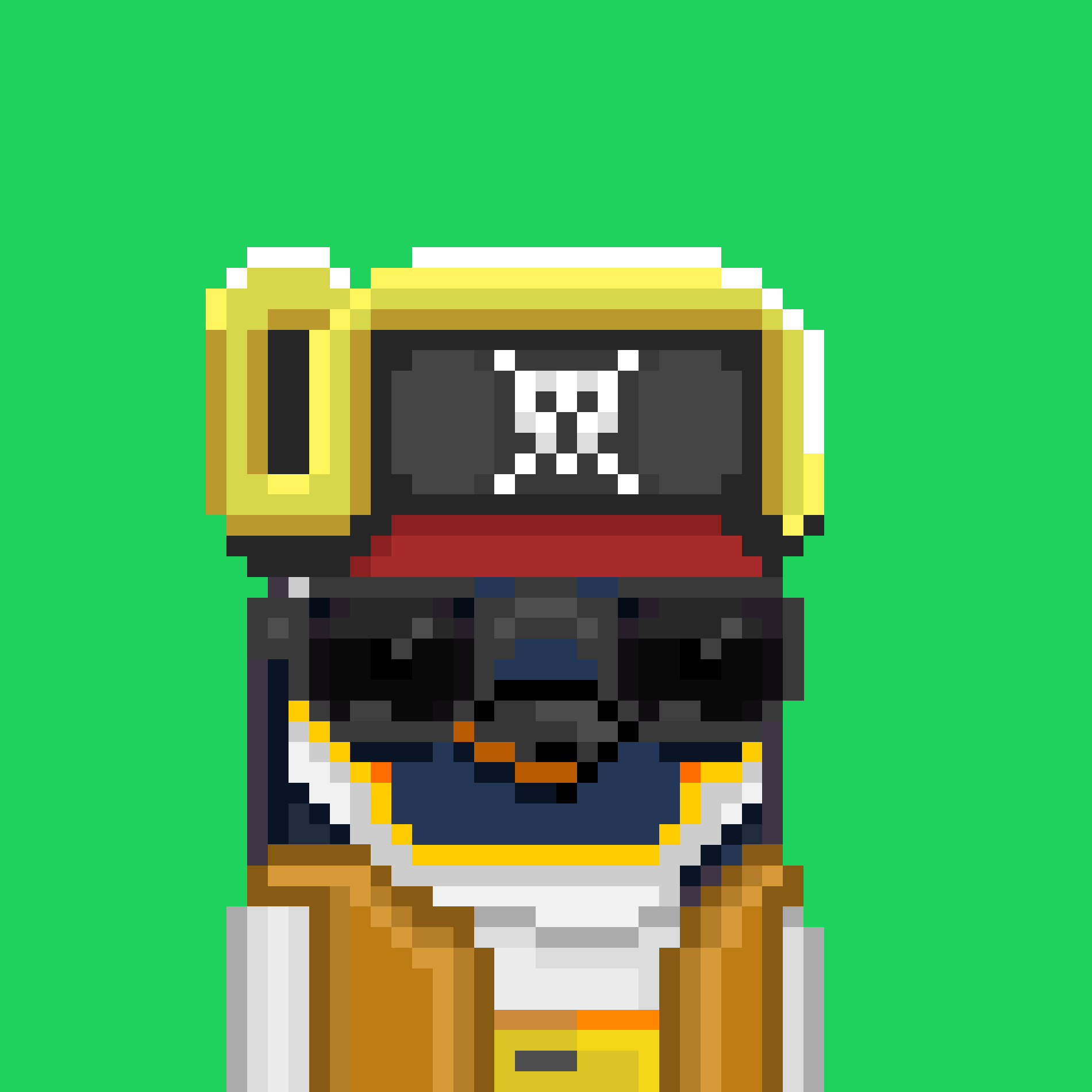 Algo Pengu #1177 NFT on Algorand