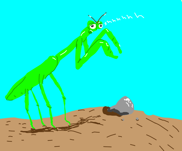 Praying Mantis NFT on Algorand