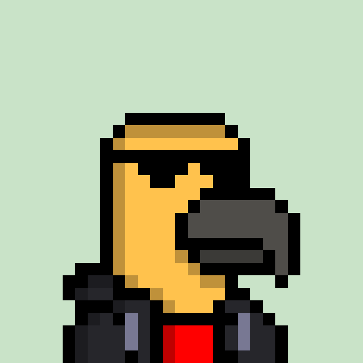 Pixel Parrot 160 NFT on Algorand