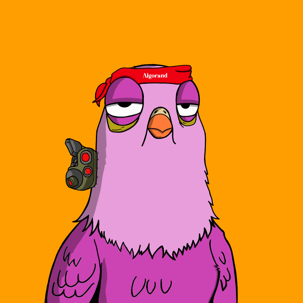 Ghetto Pigeons #0535 NFT on Algorand