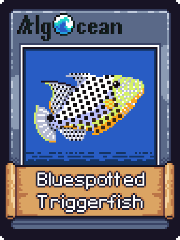 Image of Bluespotted Triggerfish