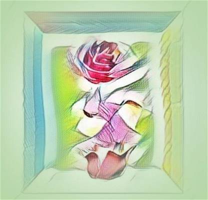 Special rose