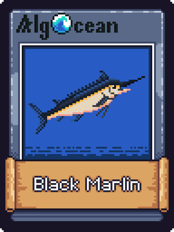 Image of Black Marlin