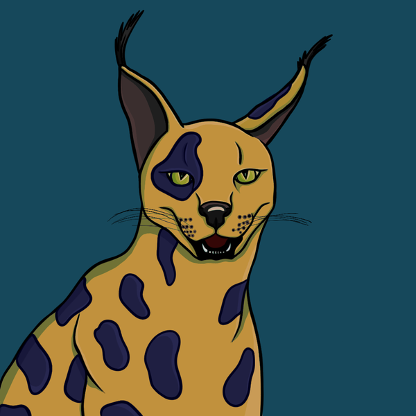 An image of Lince The Cat #9