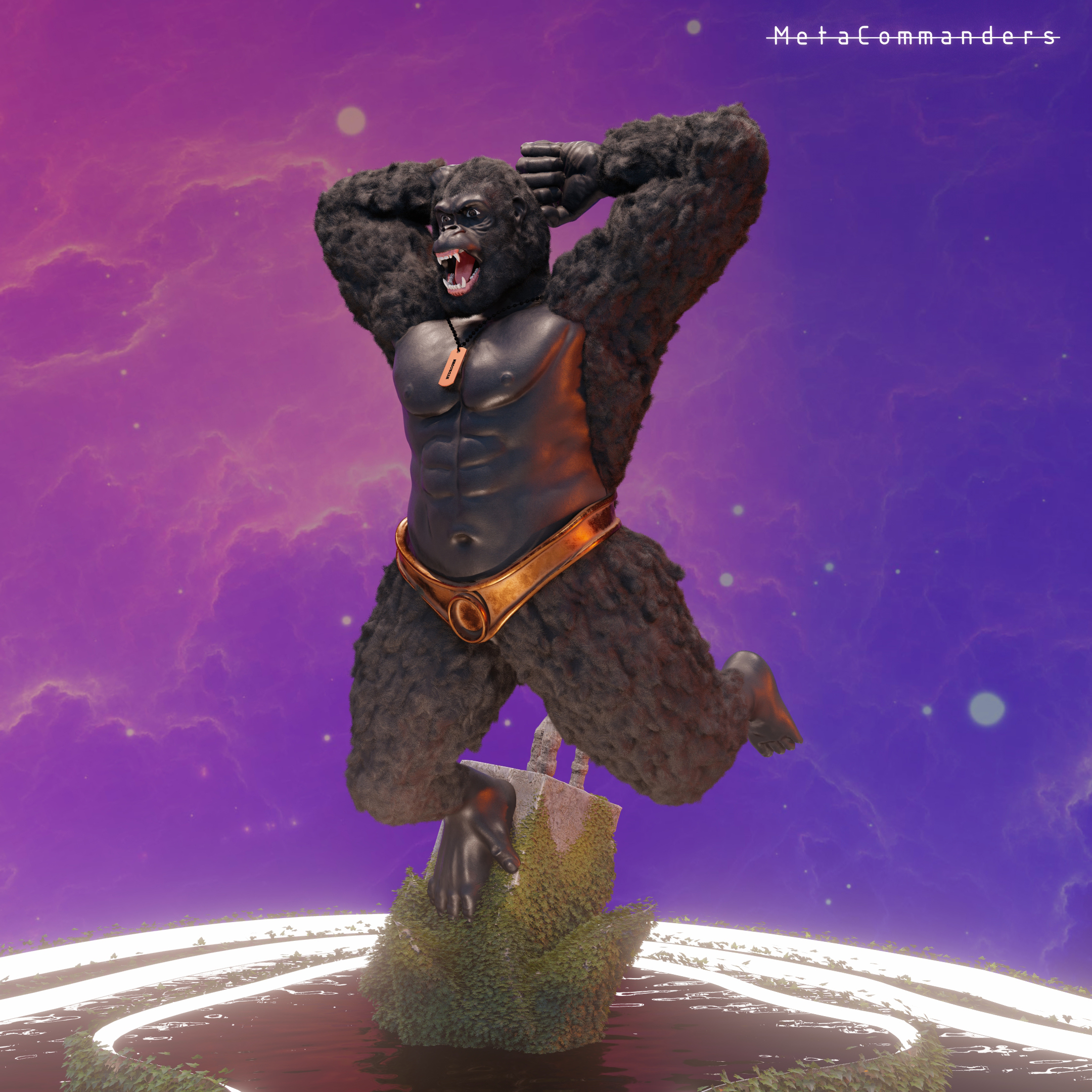 MetaCommander#45 NFT on Algorand