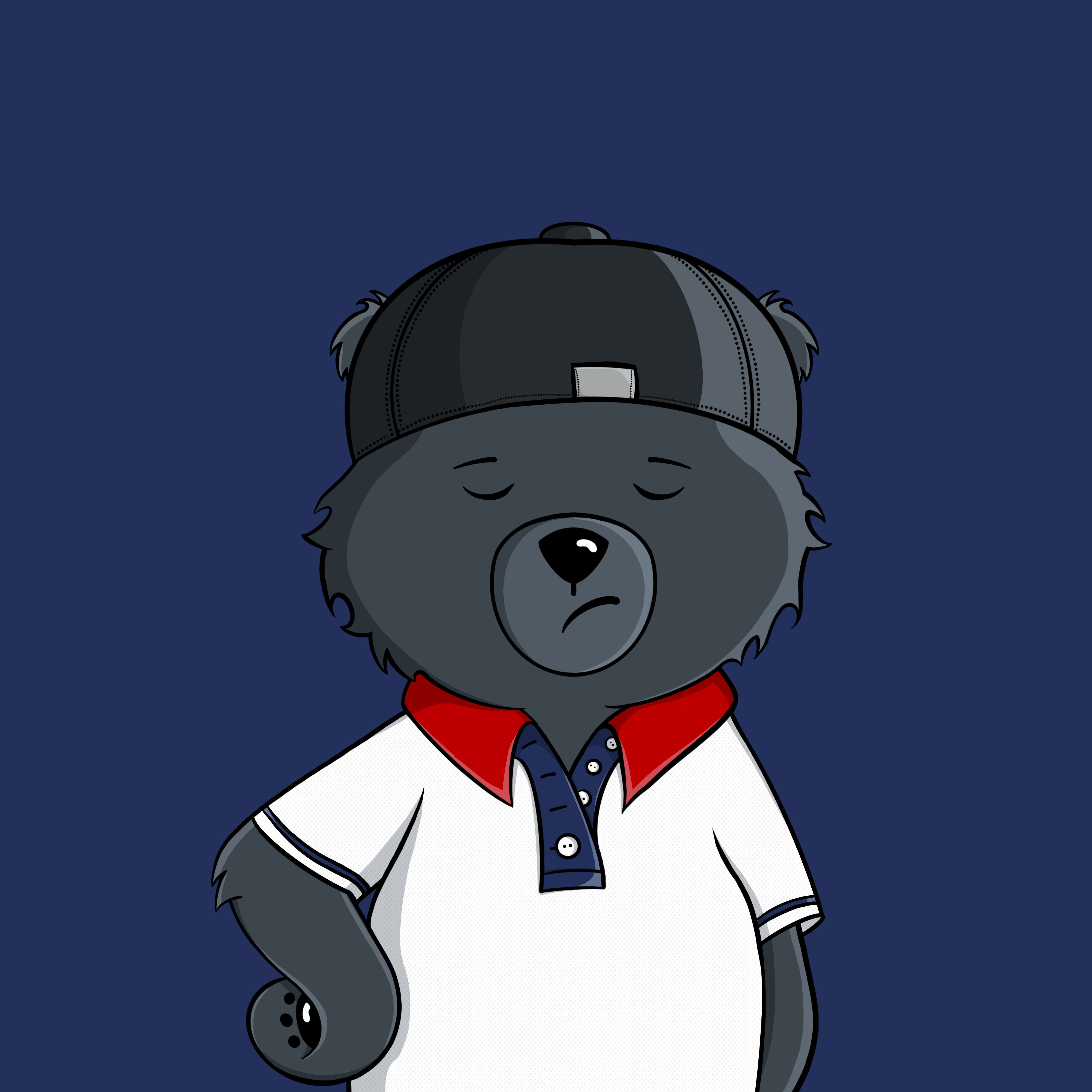 Promise Bears #0896 NFT on Algorand