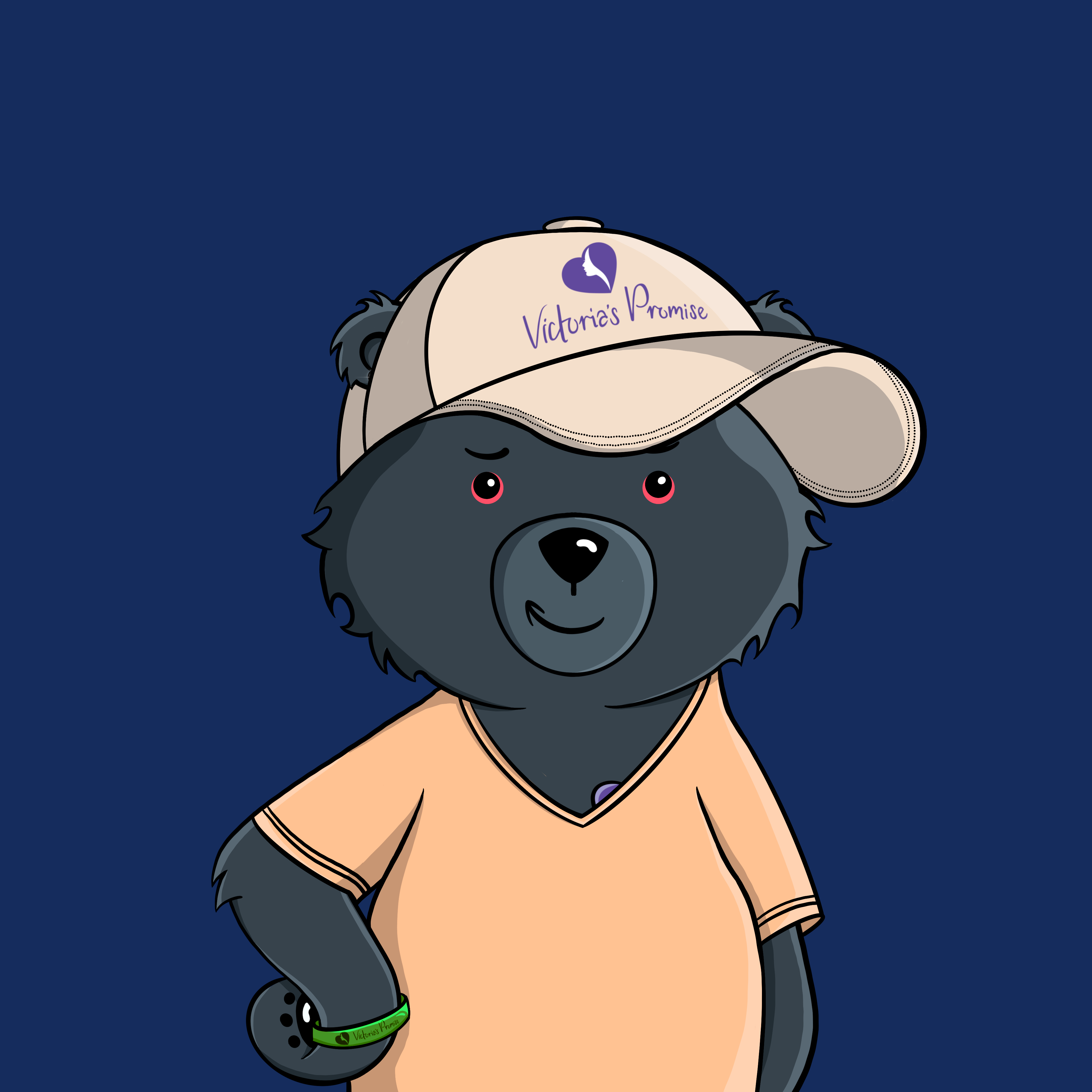 Promise Bears #0963 NFT on Algorand