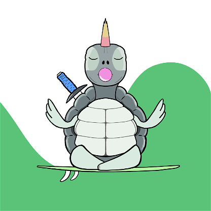 Zen Turtle 0162