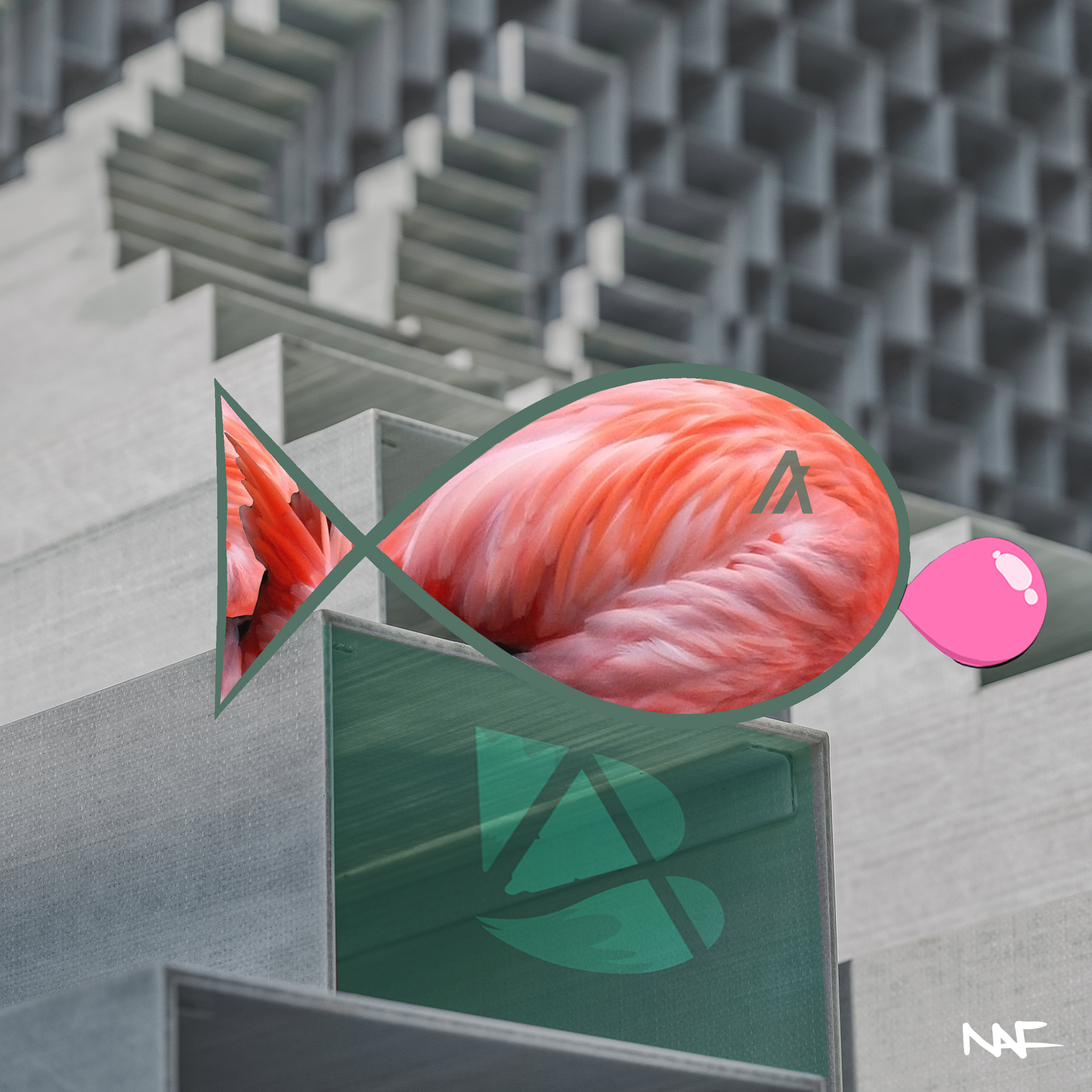 NAF NotAFish #074 NFT on Algorand