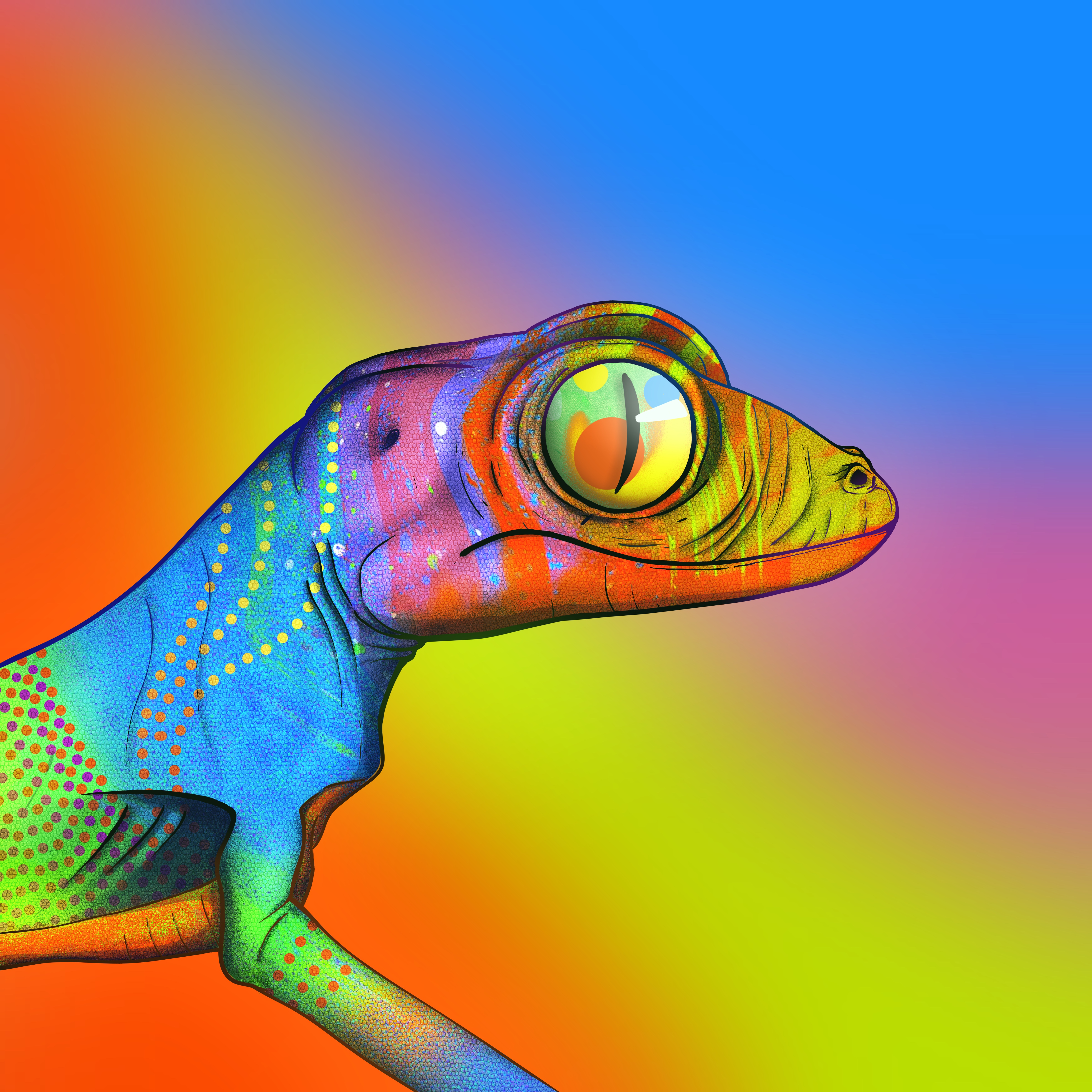 Geko 0482 NFT on Algorand