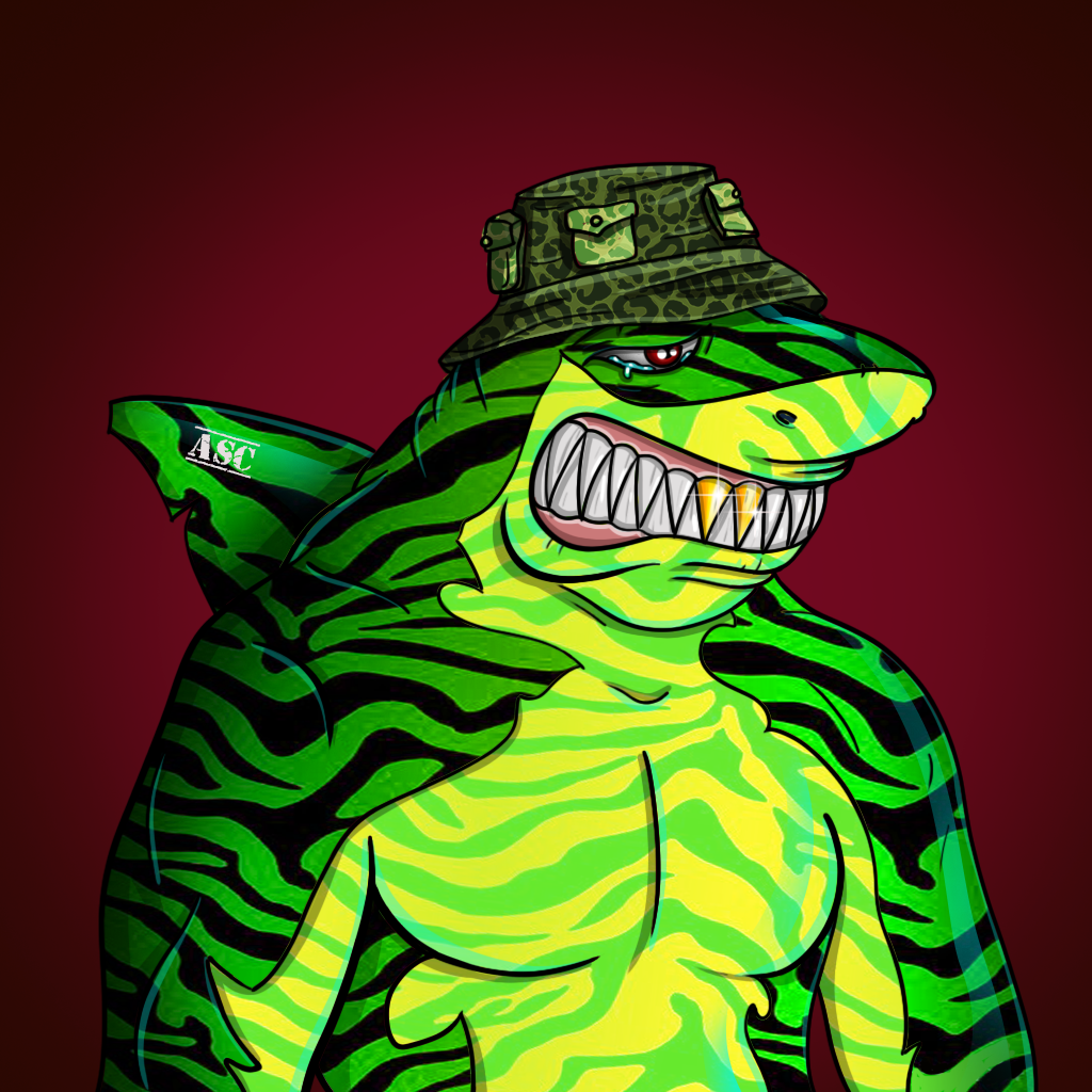 AlgoShark #607 NFT on Algorand