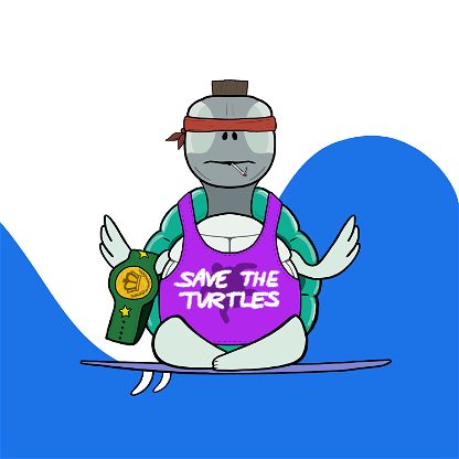 Zen Turtle 0176
