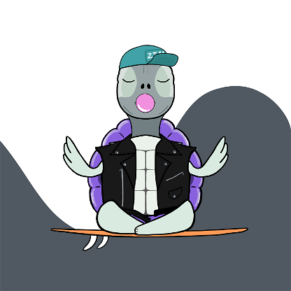 Zen Turtle 0197