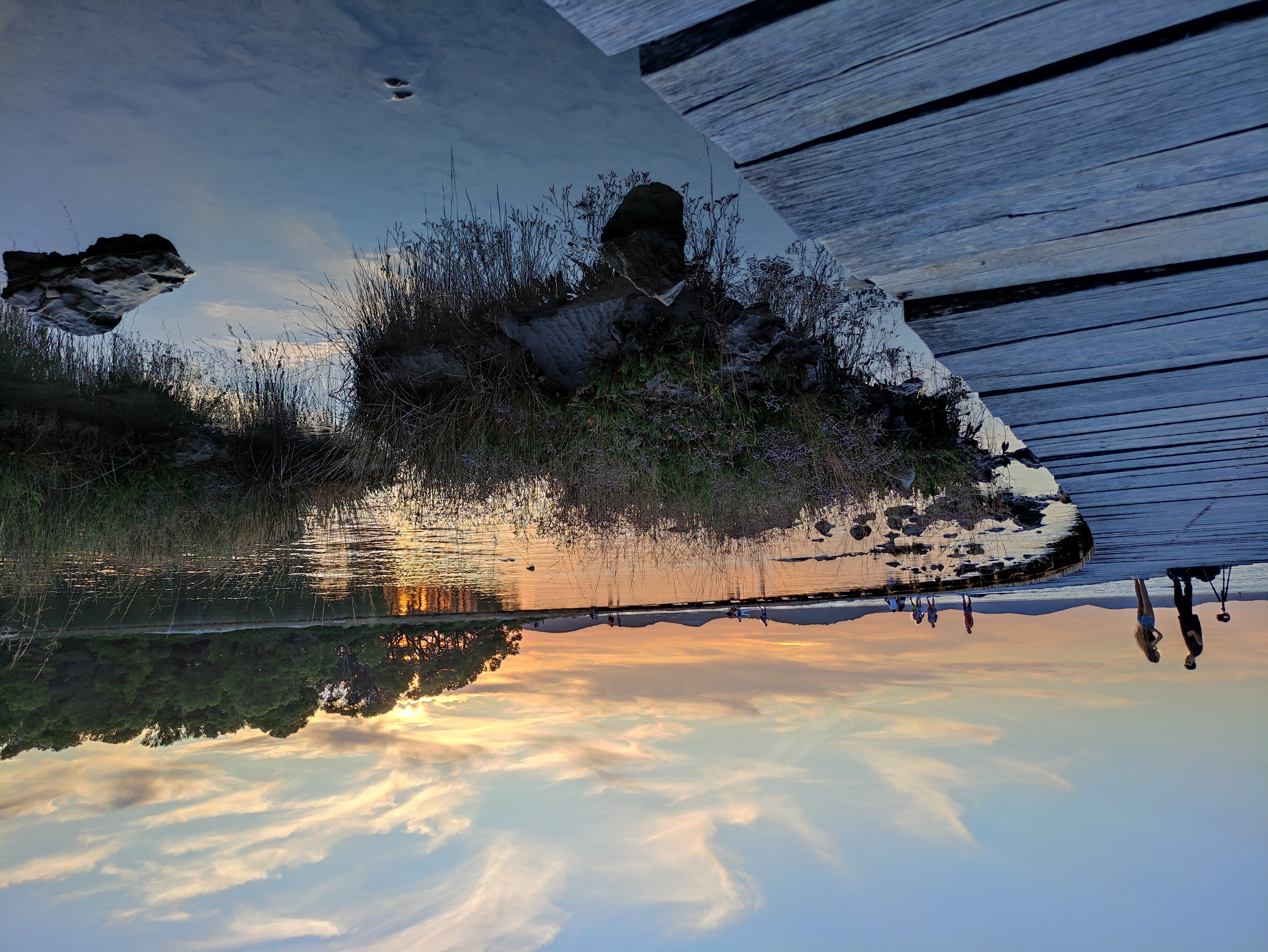 Canals NFT on Algorand