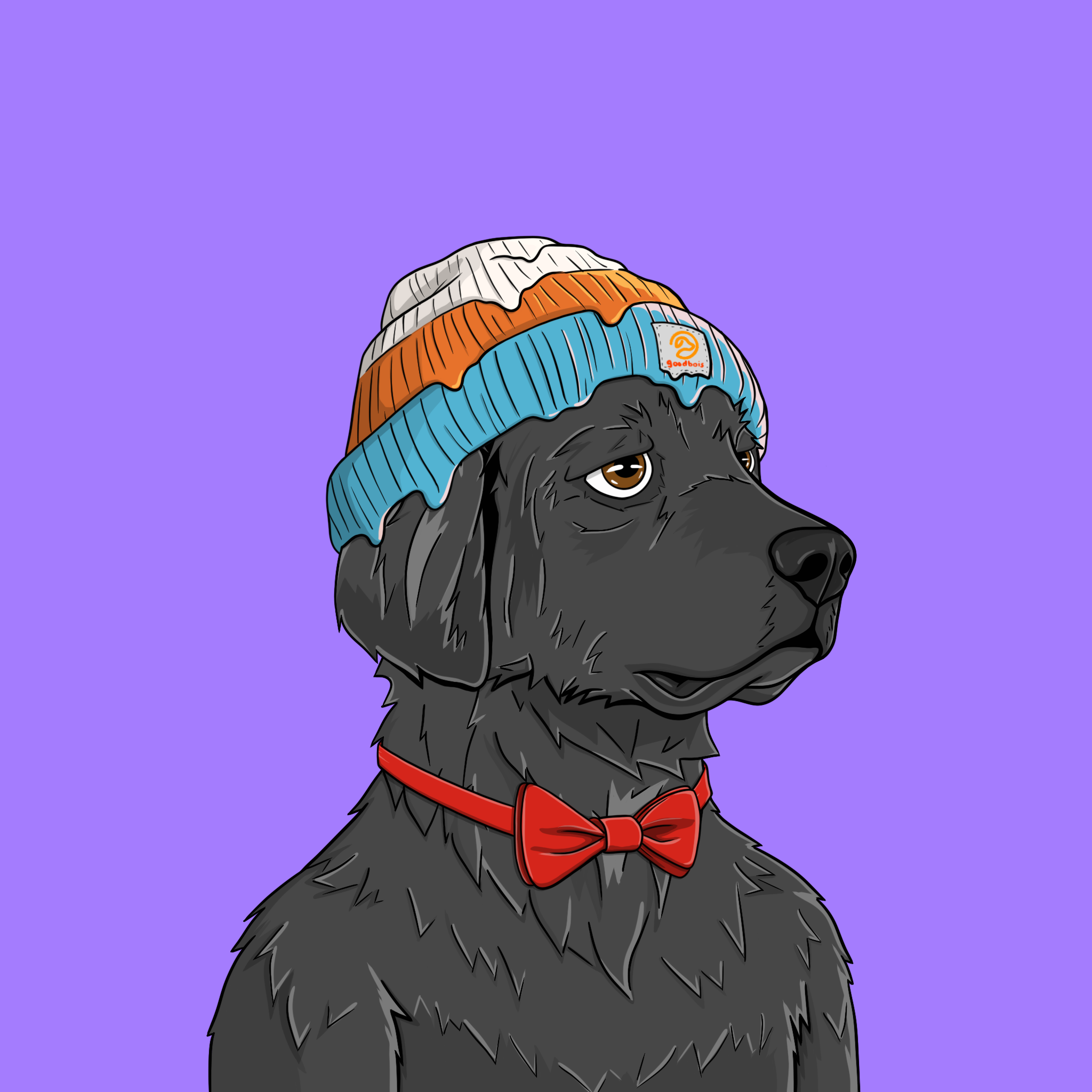 goodboi #0105 NFT on Algorand