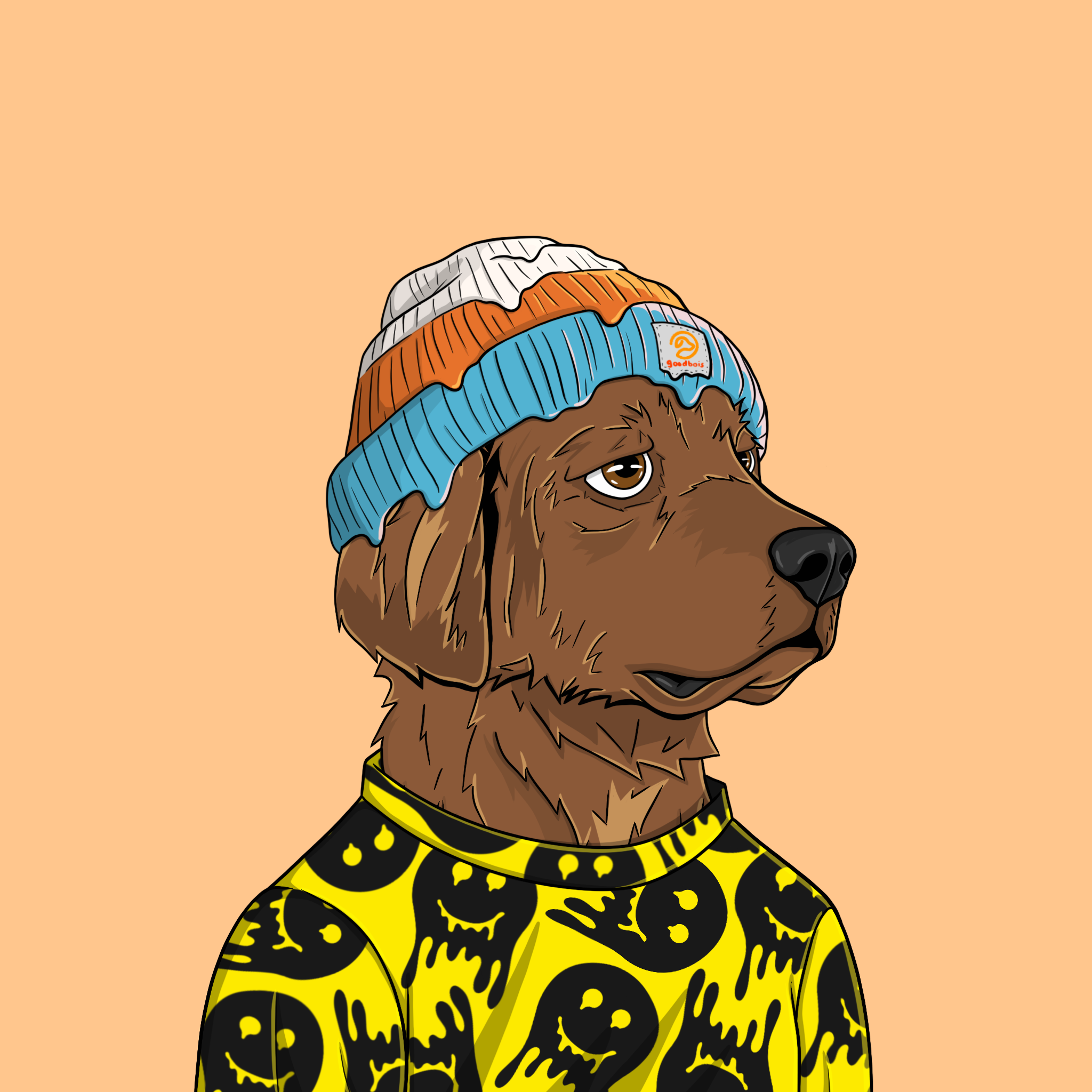 goodboi #0480 NFT on Algorand