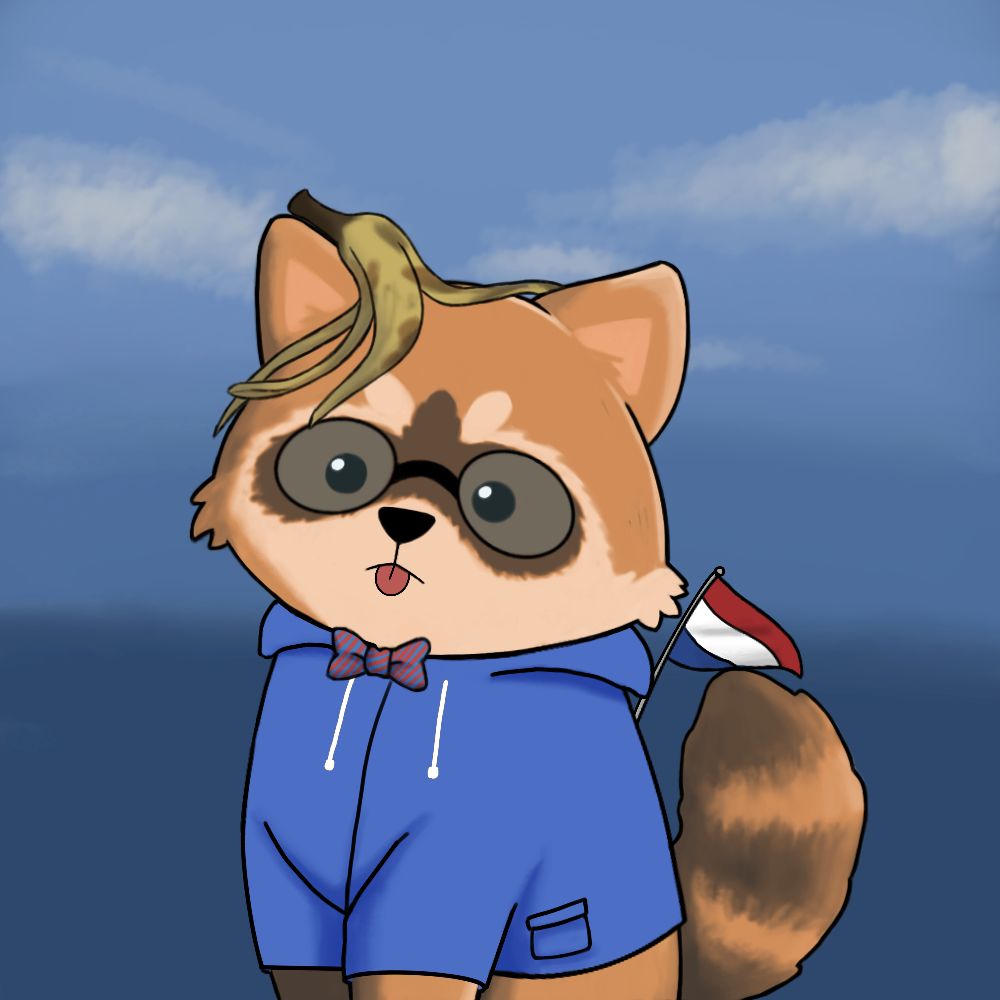 Raccoon #464 NFT on Algorand