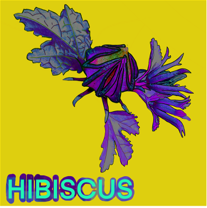 Wild_Hibiscus_02