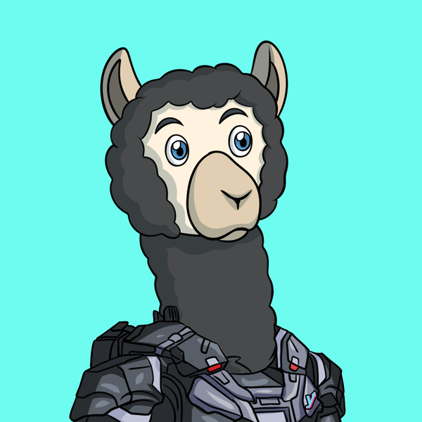 An image of ironllama#5