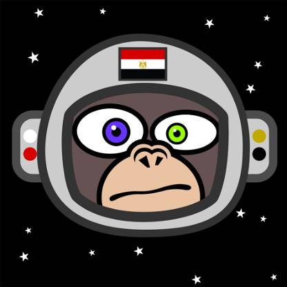 Space Monkey Egypt