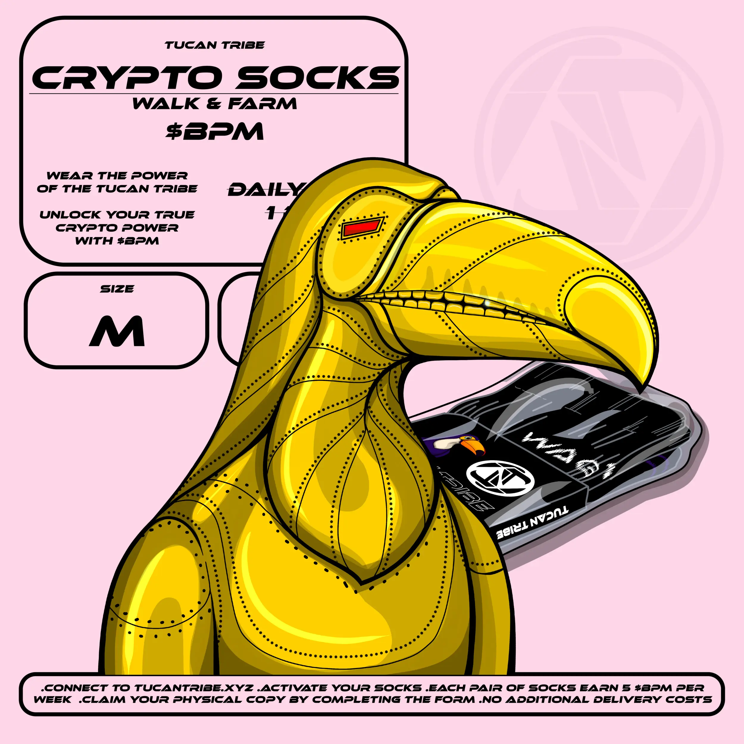 Tucan Tribe Crypto Socks #70 NFT on Algorand