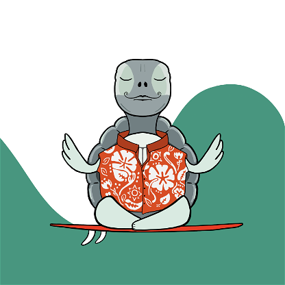 Zen Turtle 0056