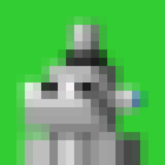 NOOD MONKE 1081 NFT on Algorand