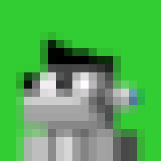 NOOD MONKE 1084 NFT on Algorand