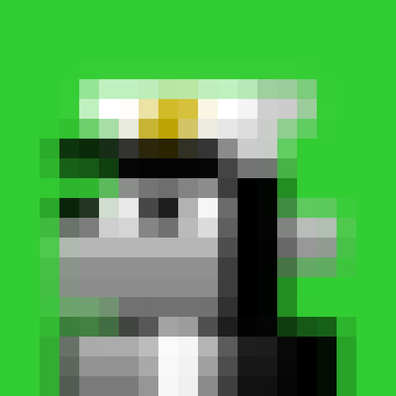 NOOD MONKE 1088 NFT on Algorand