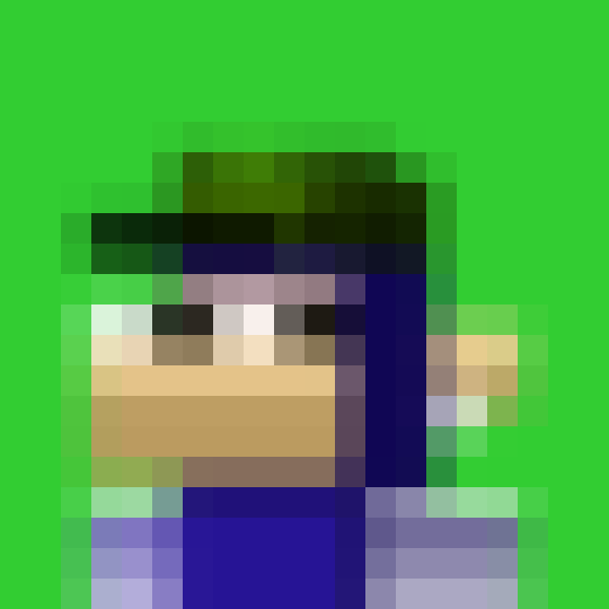 NOOD MONKE 12 NFT on Algorand