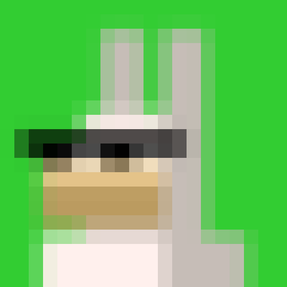 NOOD MONKE 1117 icon