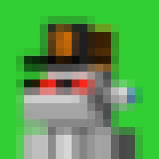 NOOD MONKE 1137 NFT on Algorand