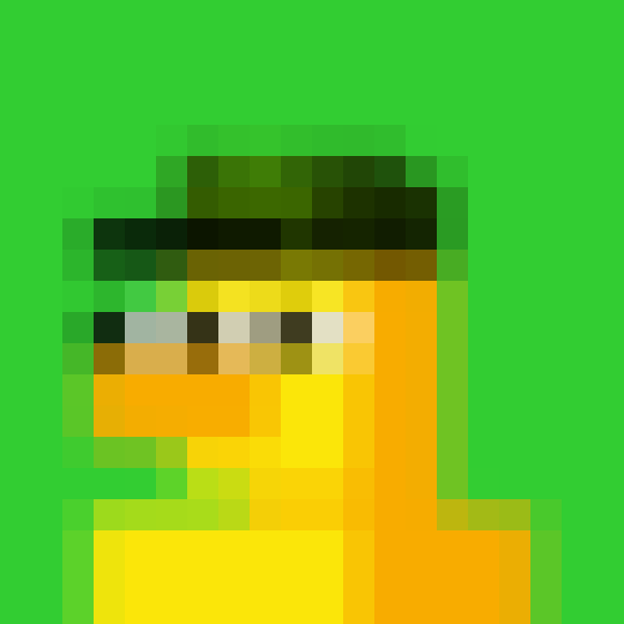 NOOD MONKE 1144 NFT on Algorand