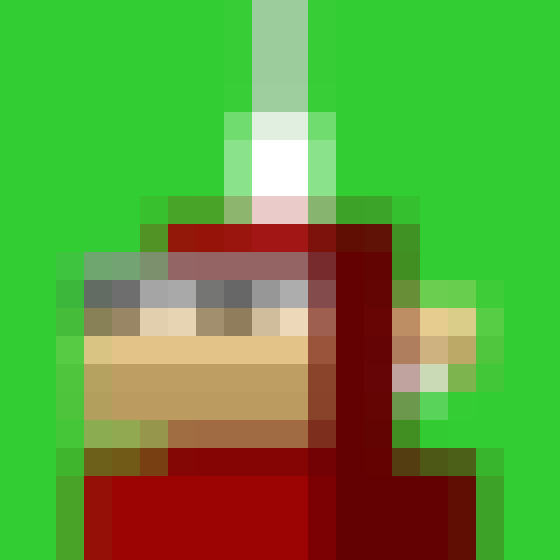 NOOD MONKE 1155 NFT on Algorand