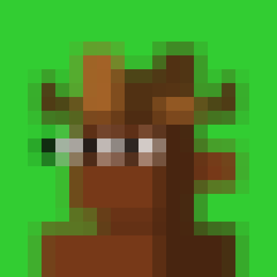 NOOD MONKE 1158 NFT on Algorand