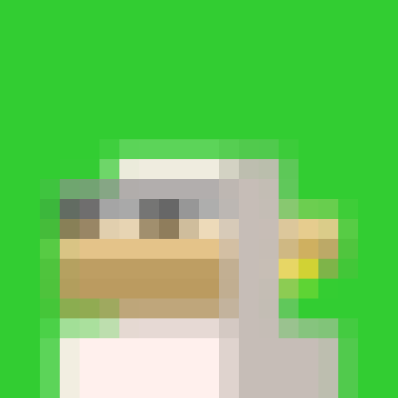 NOOD MONKE 1160 NFT on Algorand