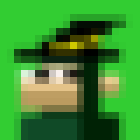 NOOD MONKE 120 NFT on Algorand