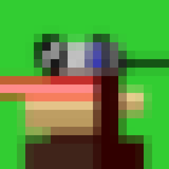 NOOD MONKE 13 NFT on Algorand